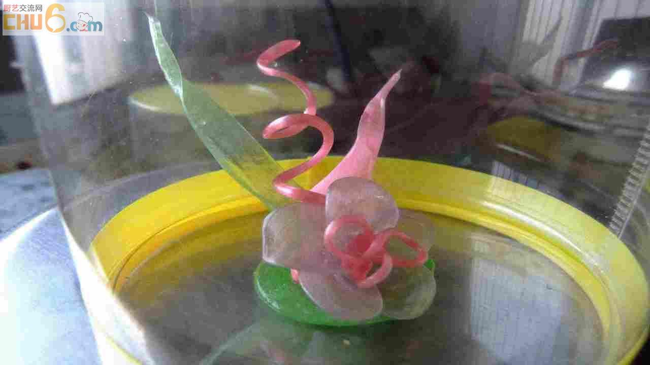 DSCF0084.jpg