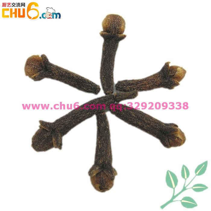 特级丁香   公丁香4.jpg