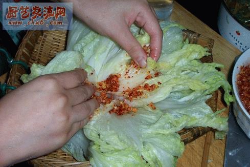 开始腌菜！从最内层开始，把调好的辣椒糊糊抹在白菜上，里外都抹