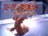 新手上路