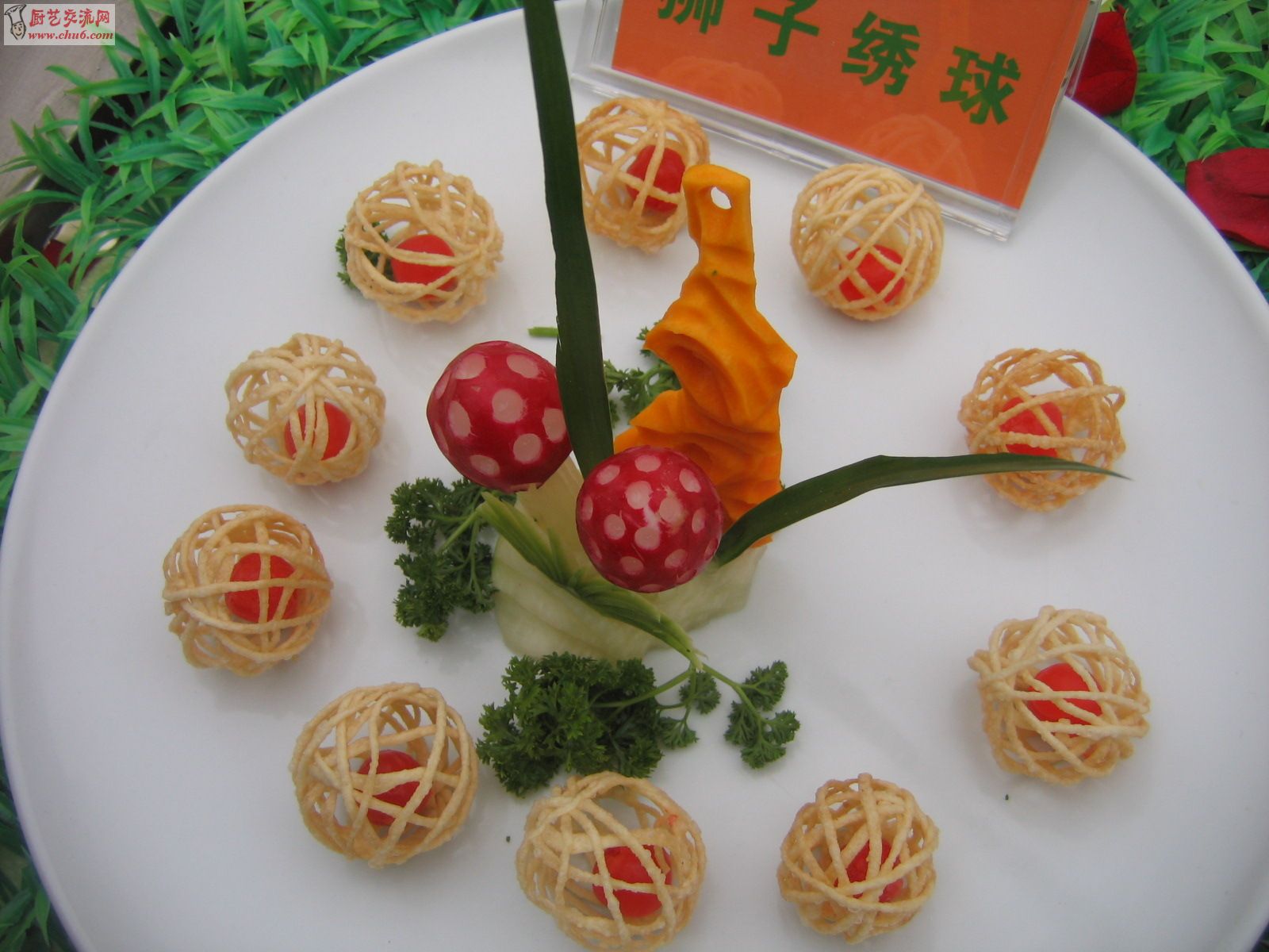 狮子绣球.jpg
