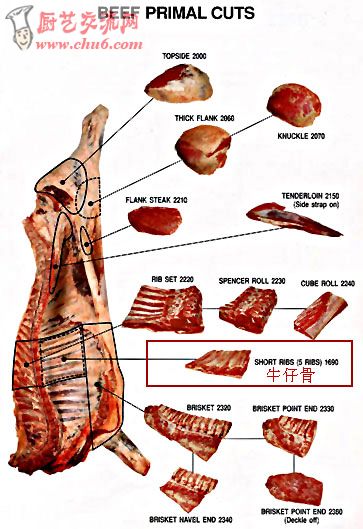 beefprimalcuts.jpg