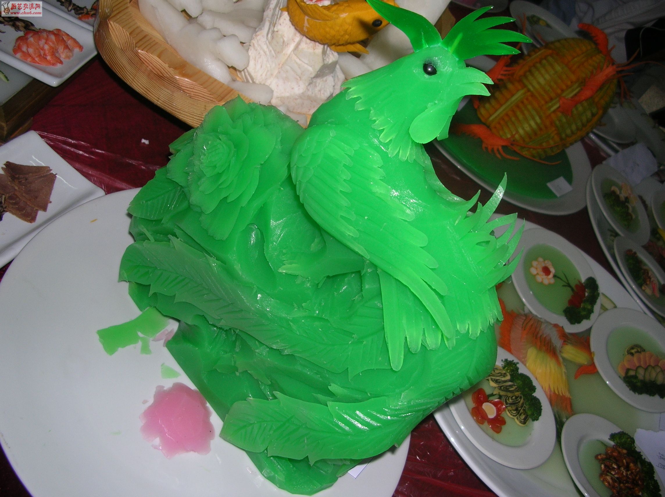 DSCN9919.JPG
