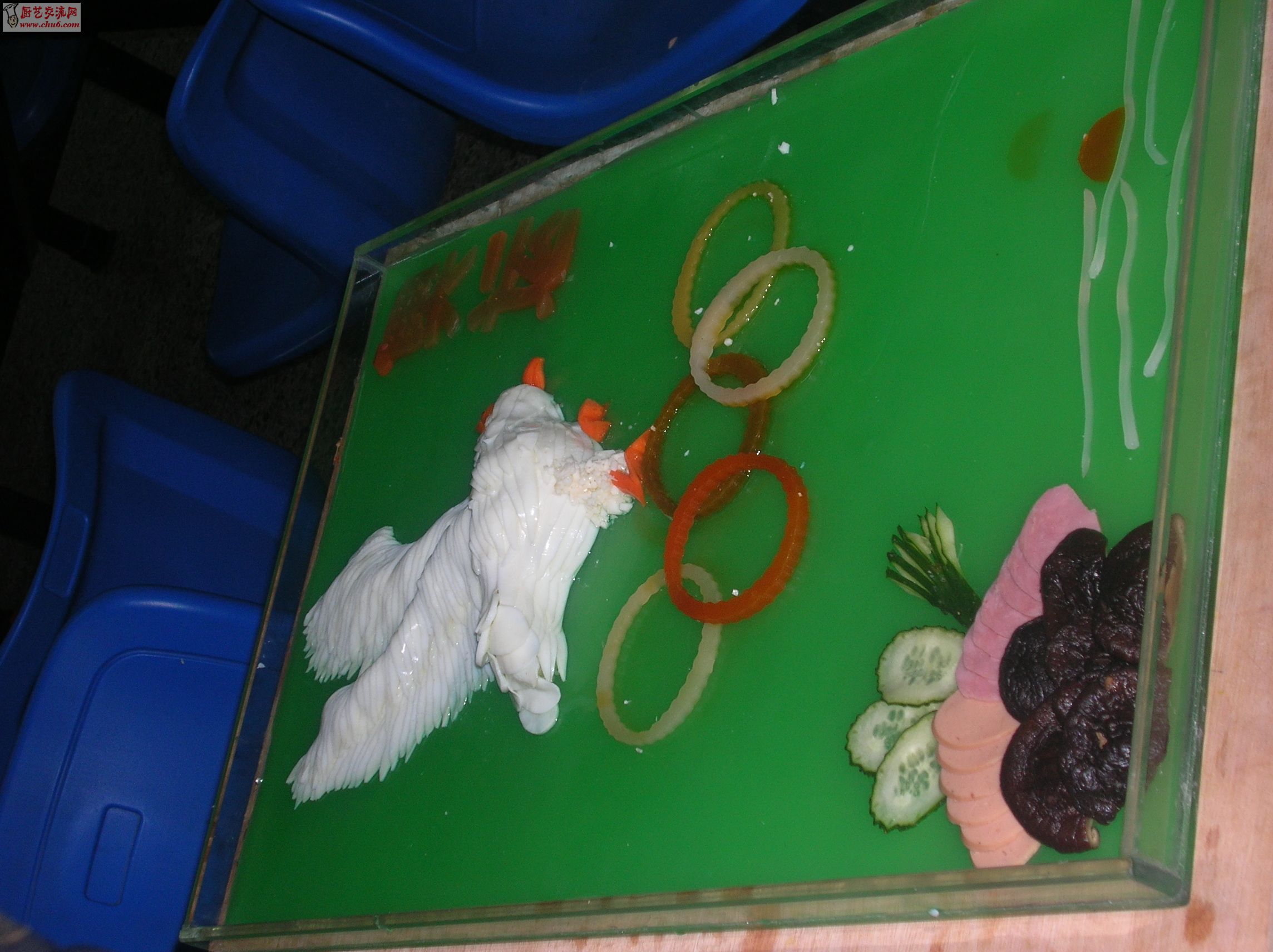 DSCN9898.JPG