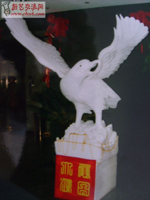 S5009676.JPG