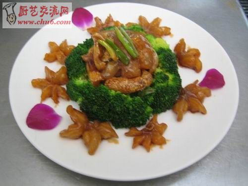 鞭花海参.jpg