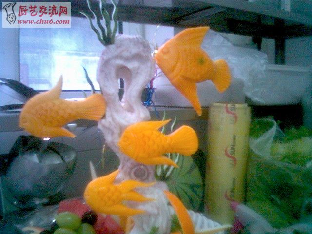 热带鱼