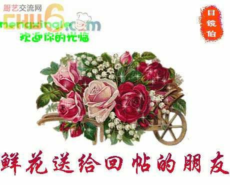 1103d41q1137dd_5fb020.jpg