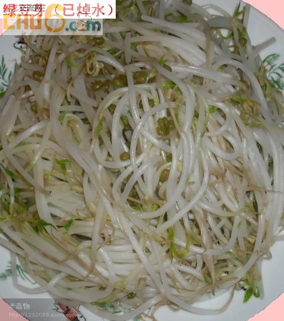 绿豆芽.jpg