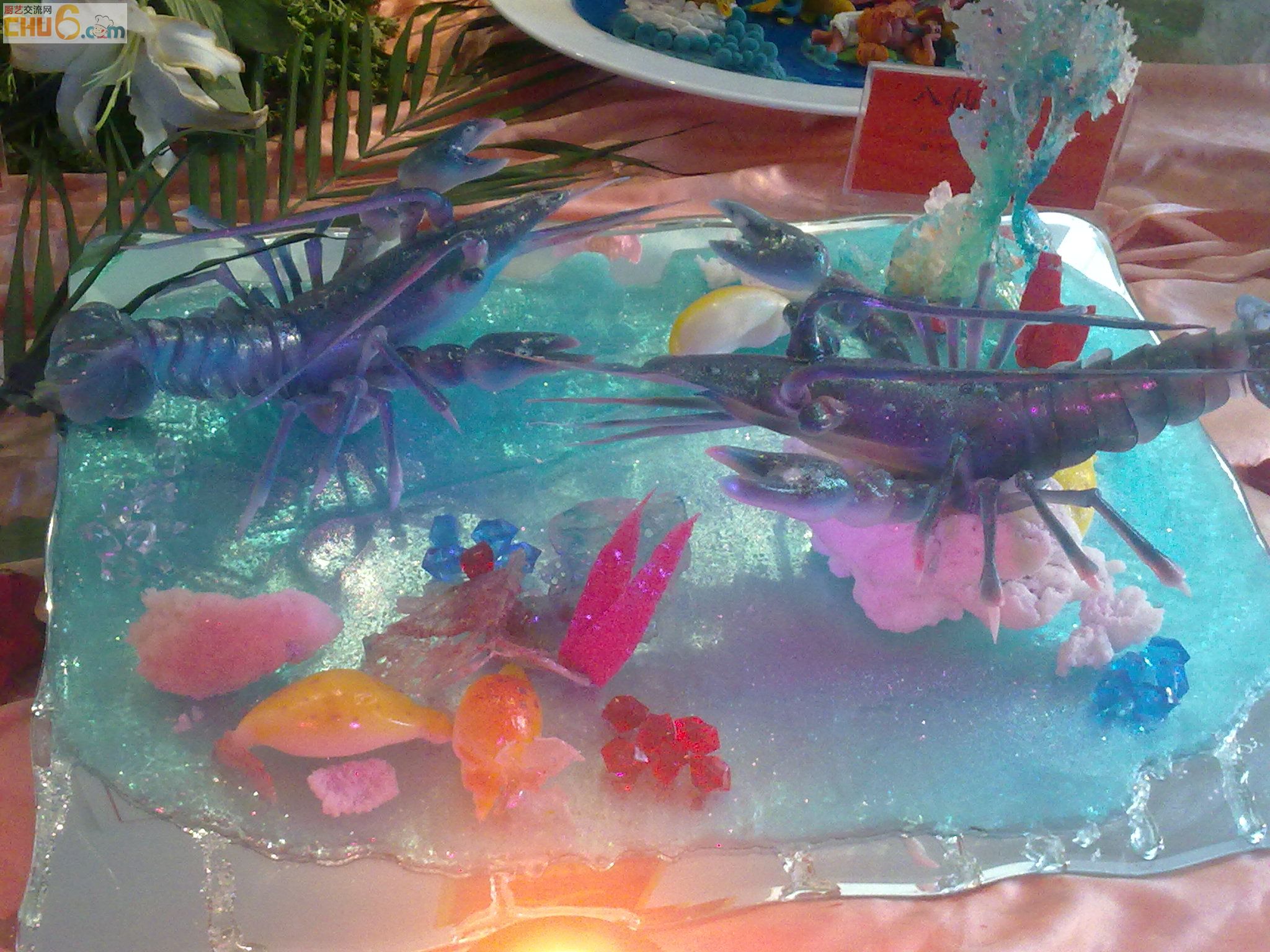 20100521274.jpg