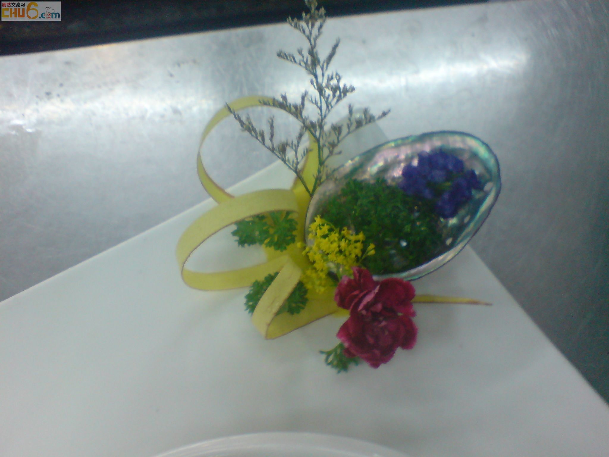 DSC00115.JPG