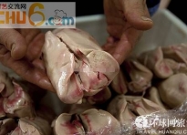 揭秘美食鹅肝生产过程
