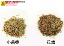 孜然