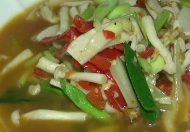 99度野山菌