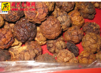 草豆蔻 草寇 草蔻仁   老蔻 老扣