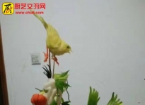 花鸟 雄鹰等食品雕刻