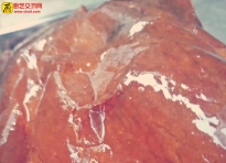 和宇烧腊：你能百度出1000个烧腊技术，但你学不到颠覆传统的烧腊技术