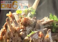 羊蝎子做法  家庭简易版